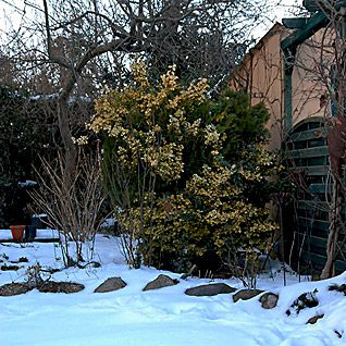 HaGarte Neustadt i. H.: Gartenarbeiten im Winter